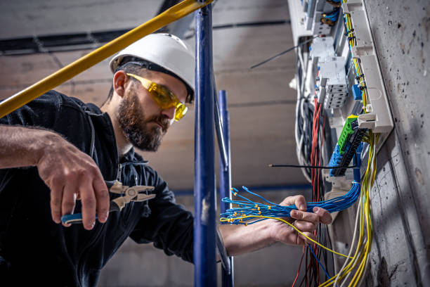 Best Ceiling Fan Installation Electrician  in Bridgeport, IL