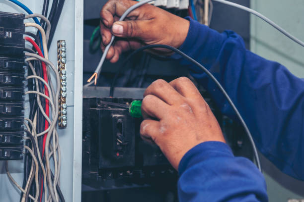 Best Electric Panel Repair  in Bridgeport, IL
